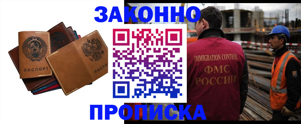 прописка в Оленегорске
